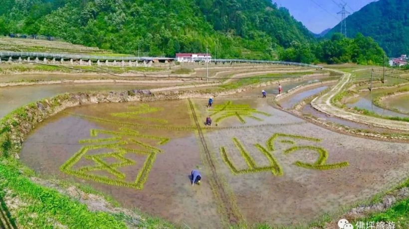 佛坪這些地方，讓你的春游不再單調(diào)！插圖17