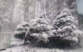 陜西多地5月飄雪！氣象局連發(fā)12個(gè)預(yù)警 最低氣溫6℃……縮略圖