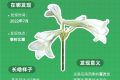 秦嶺新物種圖鑒：開(kāi)啟生物多樣性名場(chǎng)面縮略圖