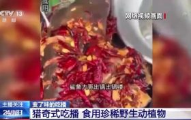 流量至上催生獵奇式吃播 多管齊下如何剎住“吃奇”之風？縮略圖