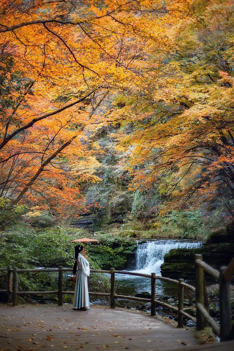 10月1日，漢中黎坪景區(qū)秋高氣爽、景色秀美，還不擁擠，趕緊出發(fā)嘍！