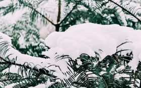 漢中，下雪啦！縮略圖