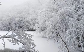 局地積雪可達10cm！冰雪路面如何安全行車？縮略圖