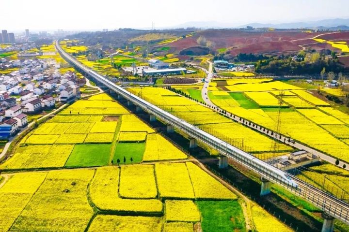 坐上高鐵去漢中，共赴一場(chǎng)浪漫之旅！插圖