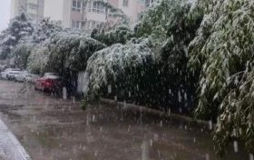 明顯降溫！陜西新一波雨雪即將到來縮略圖