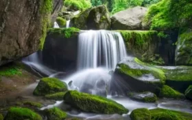 尋夢油菜花海，探秘漢江之源：三天兩晚奇遇之旅縮略圖