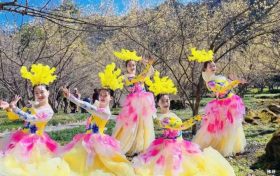 3月22日，王家灣村，茱萸花海踏春游活動(dòng)來啦！縮略圖